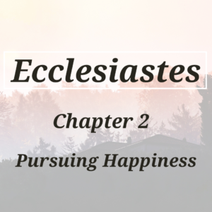 Pursuing Happiness