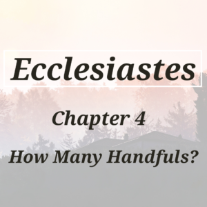 How Many Handfuls?